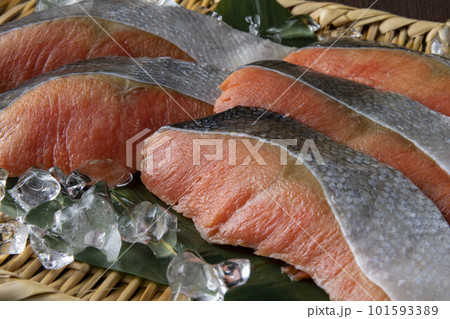 鮭の切り身 鮭の切り身 101593389