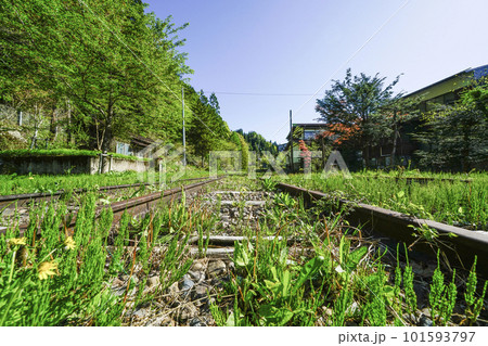 長良川鉄道　越美南線北濃駅　廃線のレール 101593797