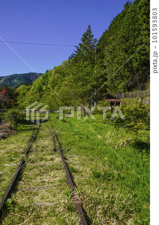 長良川鉄道　廃線になった分岐器と手動転轍機（ダルマ） 101593803