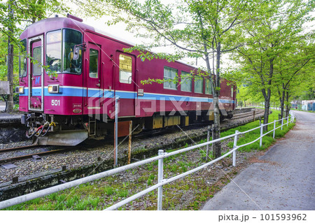 長良川鉄道 北濃駅に停車中のナガラ500型気動車 長良川鉄道 北濃駅に停車中のナガラ500型気動車 101593962