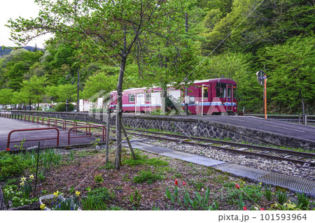 長良川鉄道 北濃駅に停車中のナガラ500型気動車 長良川鉄道 北濃駅に停車中のナガラ500型気動車 101593964