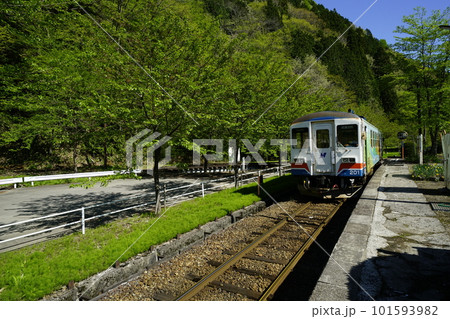 長良川鉄道　北濃駅に停車中の、ナガラ200型201号 101593982