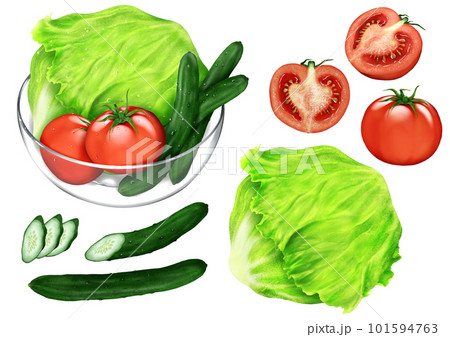 サラダ系野菜3種セット トマト レタス きゅうり サラダ系野菜3種セット トマト レタス きゅうり 101594763