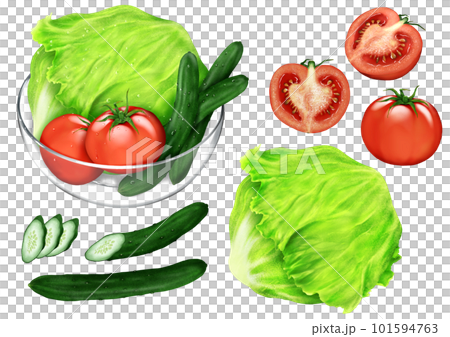 サラダ系野菜3種セット トマト レタス きゅうり サラダ系野菜3種セット トマト レタス きゅうり 101594763
