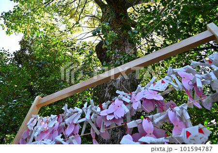 栃木県足利市伊勢町のパワースポット 足利伊勢神社 栃木県足利市伊勢町のパワースポット 足利伊勢神社 101594787