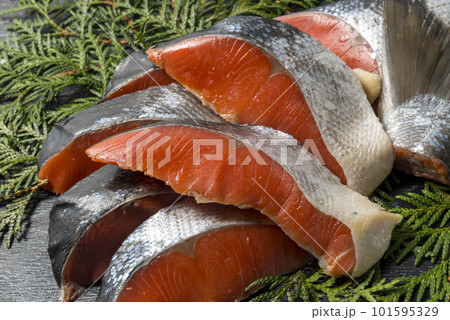 新鮮な鮭の切身 新鮮な鮭の切身 101595329