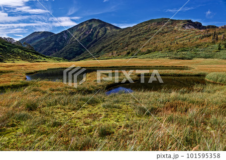 妙高連峰・天狗の庭の草紅葉と火打山 妙高連峰・天狗の庭の草紅葉と火打山 101595358