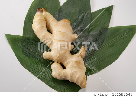 新鮮で美味しい生姜 新鮮で美味しい生姜 101595549