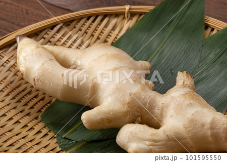 新鮮で美味しい生姜 101595550