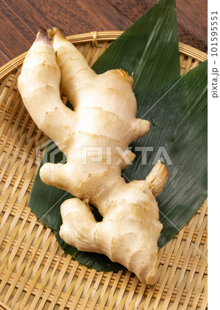 新鮮で美味しい生姜 新鮮で美味しい生姜 101595551