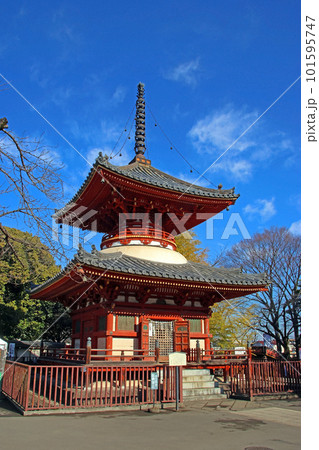 川越大師　喜多院（川越） 101595747