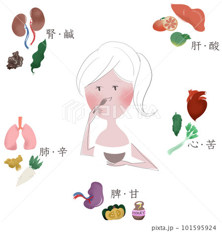 五臓を養う「五味」を、女性と食べ物と五臓で表したイラスト 五臓を養う「五味」を、女性と食べ物と五臓で表したイラスト 101595924