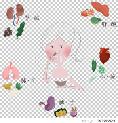 五臓を養う「五味」を、女性と食べ物と五臓で表したイラスト 五臓を養う「五味」を、女性と食べ物と五臓で表したイラスト 101595924