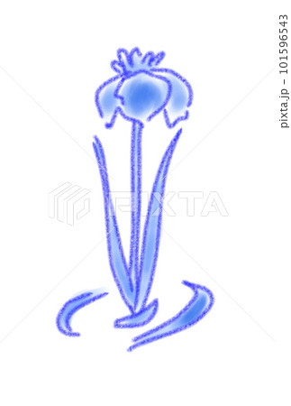 水彩で描いた睡蓮 101596543