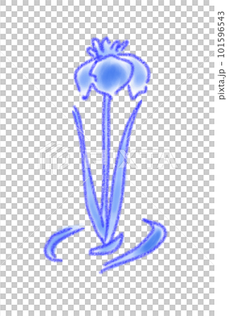 水彩で描いた睡蓮 101596543