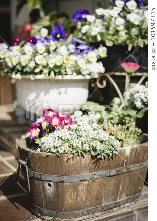 寄せ植えしたフラワーアレンジメント 101597315