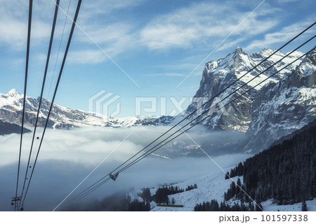 Cables over pine trees growing on landscape in forest with beautiful view of snow covered mountains and sky in background at Jungfrau, Switzerland, winter holiday and nature concept 101597338