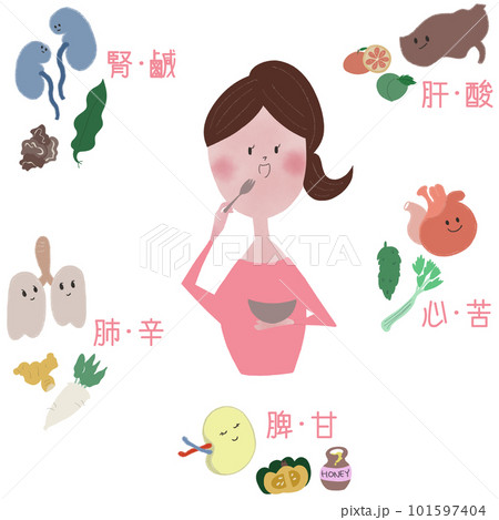 五臓を養う「五味」を、女性と食べ物と五臓で表したイラスト 101597404