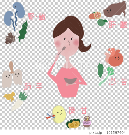 五臓を養う「五味」を、女性と食べ物と五臓で表したイラスト 101597404
