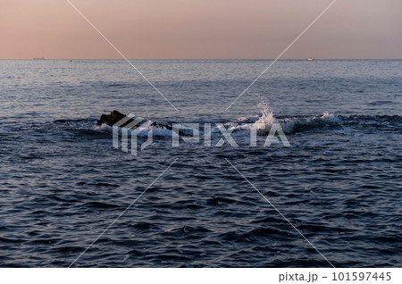 朝の三浦半島の海と水平線 朝の三浦半島の海と水平線 101597445