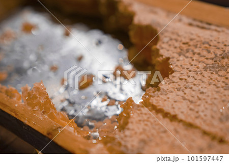 Extreme closeup of fresh sweet honeycomb in container at restaurant kitchen in luxurious tourist resort, luxury travel and food concept 101597447