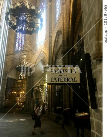 バルセロナの美しいカテドラル　サンタ・エウラリア大聖堂 101597968