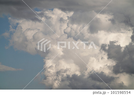 雲 101598554