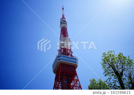 晴天にそびえたつ東京タワー(芝公園) 晴天にそびえたつ東京タワー(芝公園) 101598615