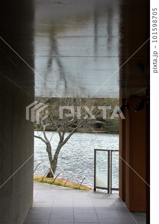 湖へと続く道 101598705