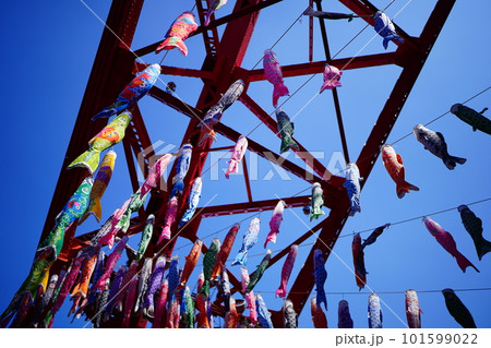晴天にそびえ立つ東京タワーのふもとで泳ぐこいのぼり（鯉のぼり） 101599022