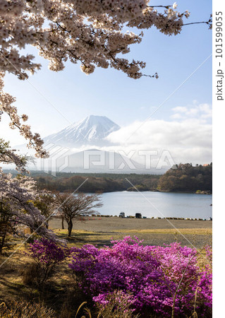 桜のある風景 101599055