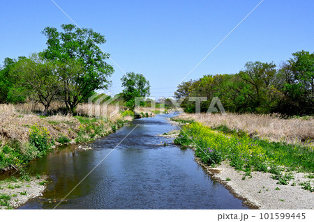 埼玉県坂戸市郊外のうららかな田園風景 埼玉県坂戸市郊外のうららかな田園風景 101599445