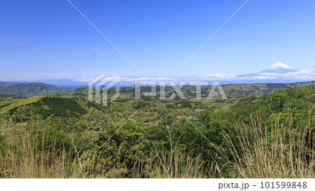 巣雲山駐車場から見た富士山(春) 巣雲山駐車場から見た富士山(春) 101599848