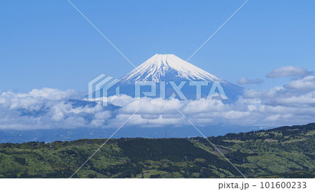 巣雲山駐車場から見た富士山(春) 巣雲山駐車場から見た富士山(春) 101600233