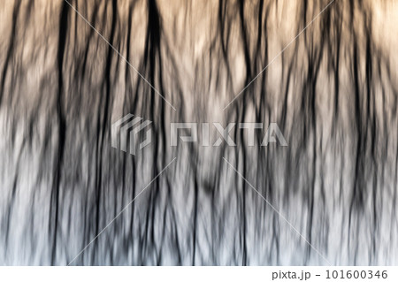 Tree reflections in the water of a flooded meadow at sunset. Tree reflections in the water of a flooded meadow at sunset. 101600346