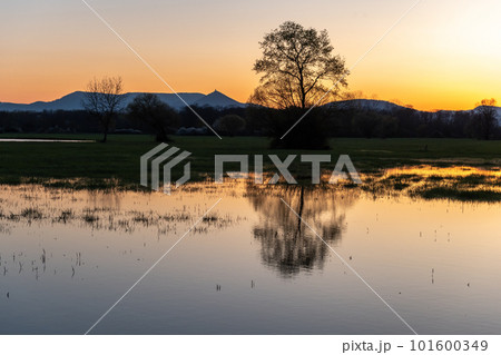 Flooded meadow at sunset with reflections in the water. Flooded meadow at sunset with reflections in the water. 101600349