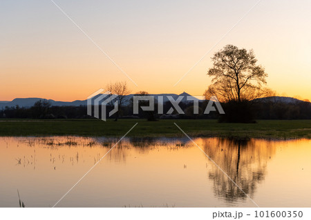 Flooded meadow at sunset with reflections in the water. 101600350