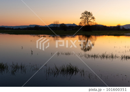 Flooded meadow at sunset with reflections in the water. 101600351