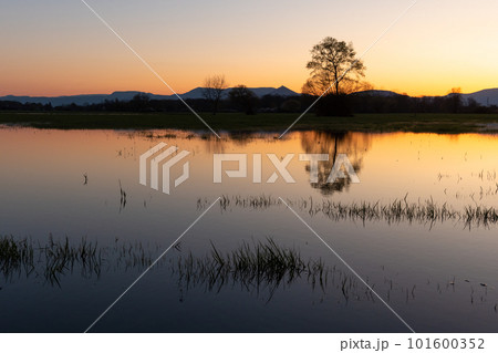 Flooded meadow at sunset with reflections in the water. 101600352