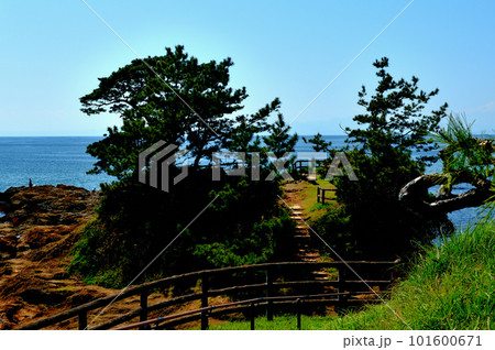 岩場の続く立石公園の風景 岩場の続く立石公園の風景 101600671
