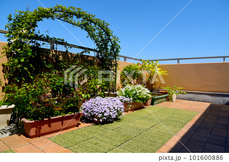 ぽかぽか陽気の春景色　広々バルコニー　新緑のグリーンアーチ　満開の花　芝桜と姫ウツギ 101600886
