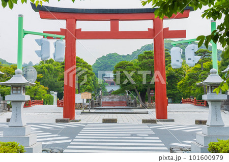 古都鎌倉の初夏 鶴岡八幡宮 三の鳥居 古都鎌倉の初夏 鶴岡八幡宮 三の鳥居 101600979