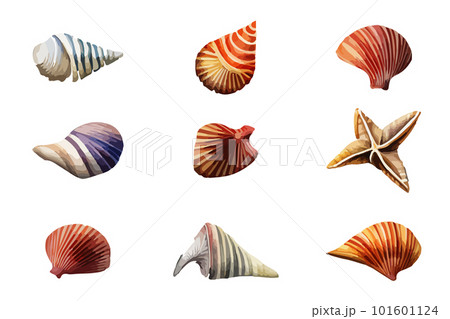 Vector summer set Seashell watercolor illustration. Hand drawn underwater element design for greeting card, printing. 101601124