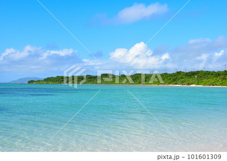 竹富島 コンドイ浜 竹富島 コンドイ浜 101601309