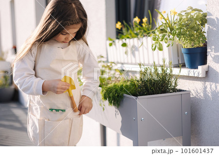 Cute little girl put a small shovel and a rake into her overall. Gardening on balcony 101601437