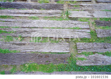 Wooden walkway in garden with green grass and leaves background. Wooden walkway in garden with green grass and leaves background. 101601536