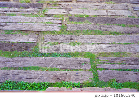 Wooden walkway in garden with green grass and leaves background. 101601540