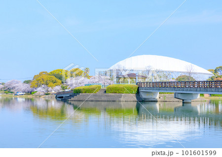 春の駕与丁公園　福岡県糟屋町 101601599