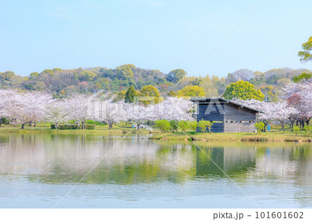 春の駕与丁公園　福岡県糟屋町 101601602