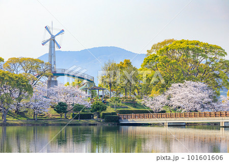 春の駕与丁公園 福岡県糟屋町 春の駕与丁公園 福岡県糟屋町 101601606